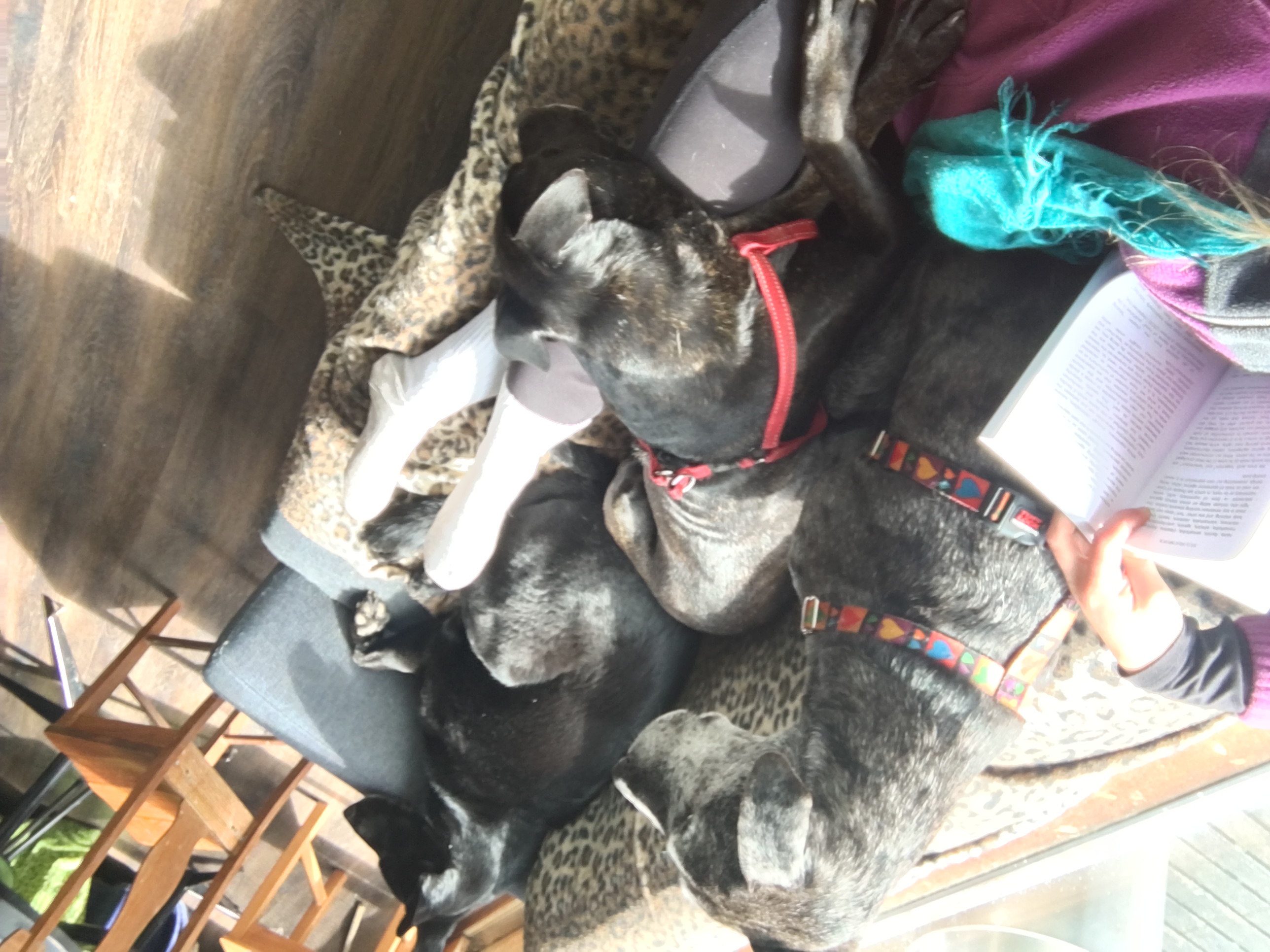 Photo from Roxane’s gallery