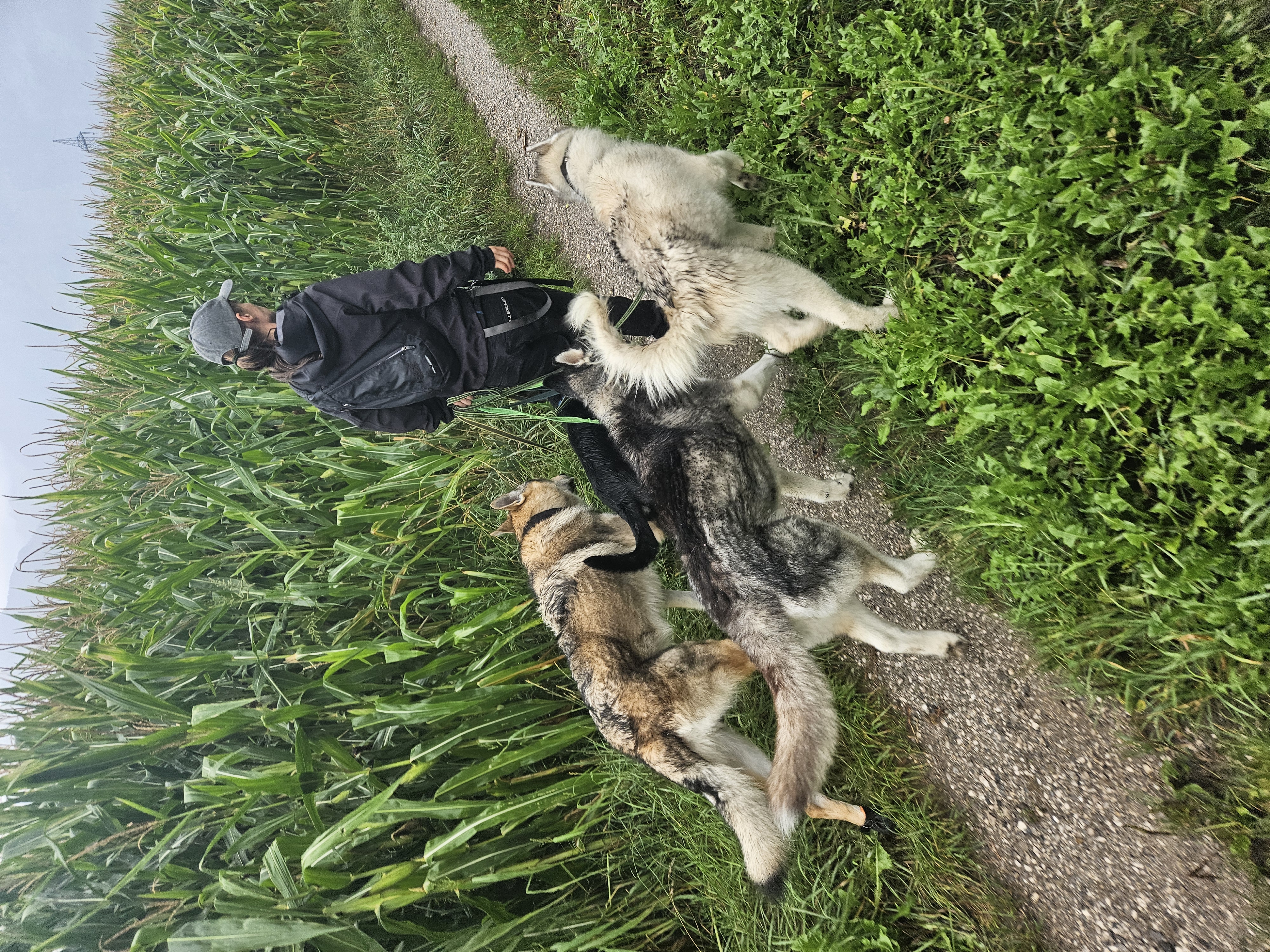 Foto aus der Galerie von Yasmine